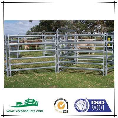 60x30mm galvanized cattle panels 
